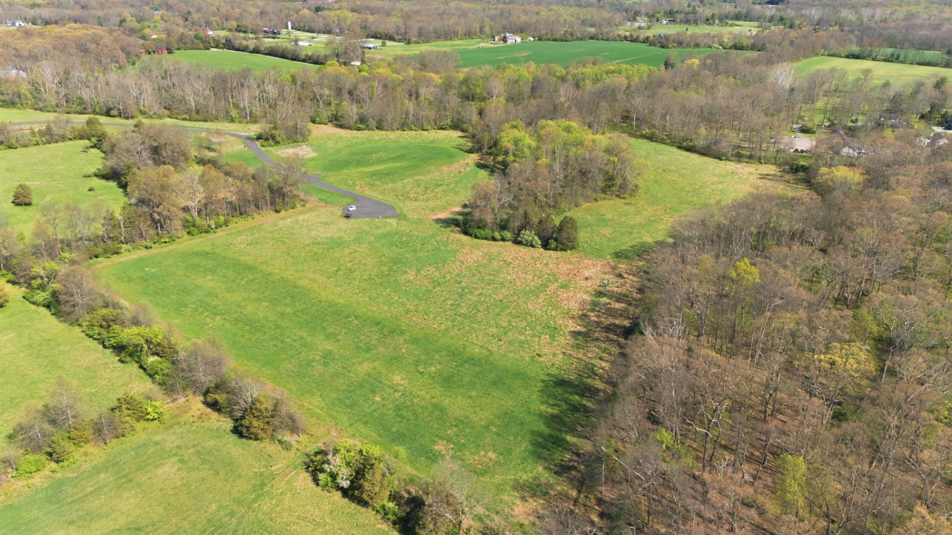 Aerial view of rolling pastures and mature tree lines dividing the estate-scale lots at 1310 Lamington Road